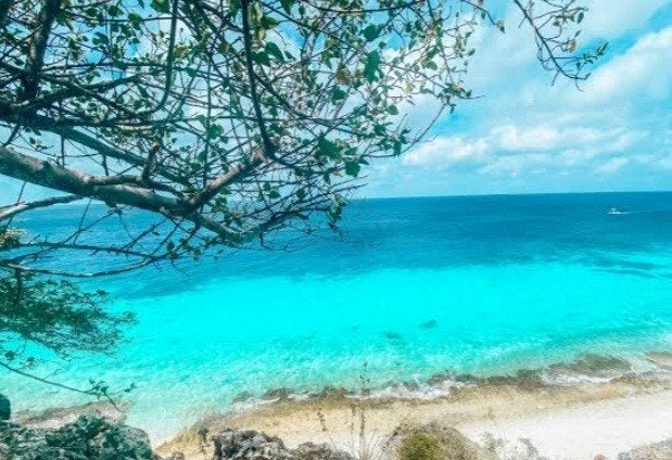 Wie gaat naar Bonaire?, Contacten en Berichten, Reisgenoten en Carpoolers