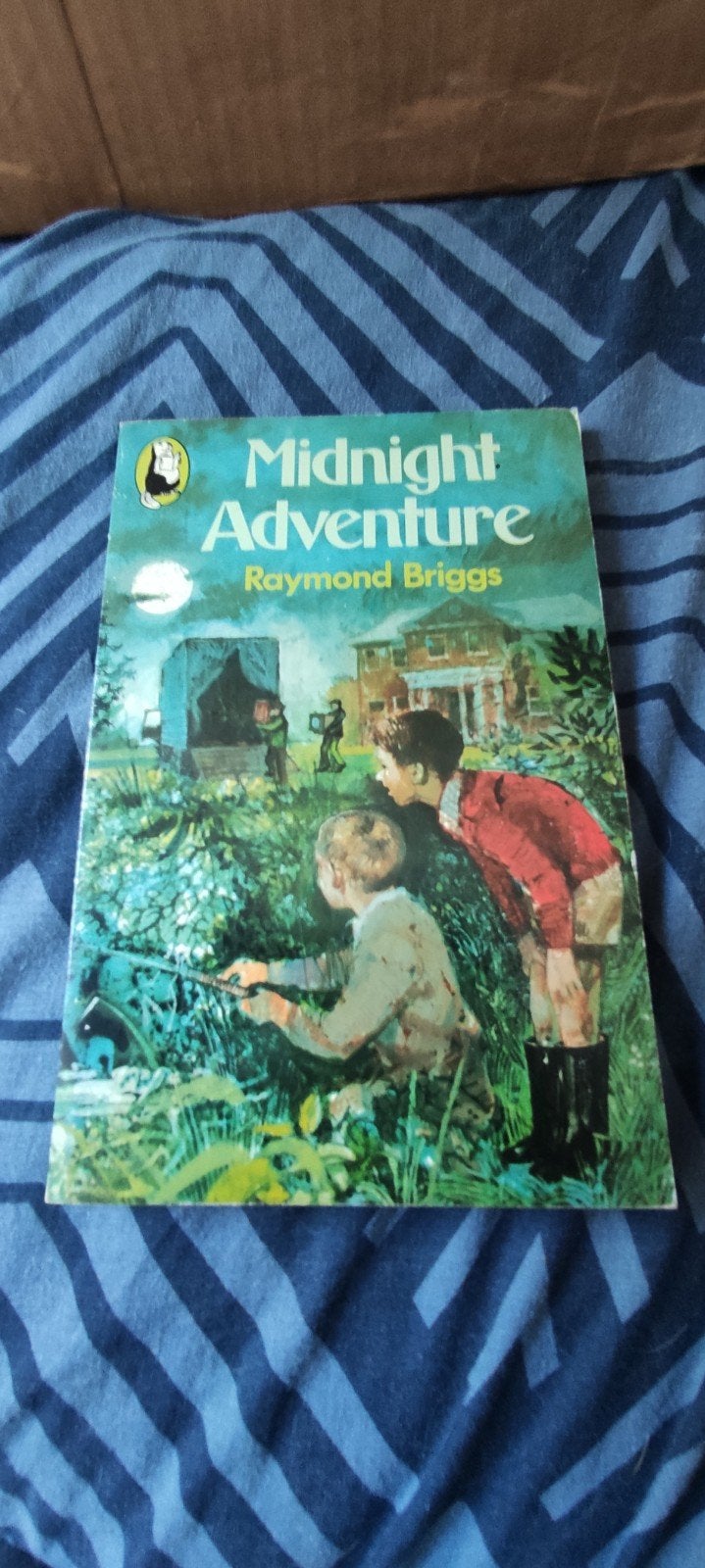 Midnight Adventure - Raymond Briggs, goeie staat., Boeken, Ophalen, Raymond Briggs, Fictie algemeen, Zo goed als nieuw