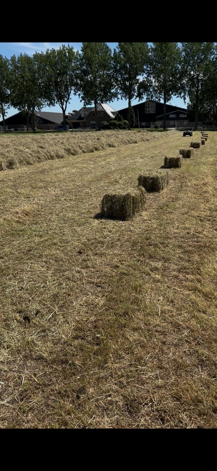 Hooipakjes, Dieren en Toebehoren, Ophalen, Vee