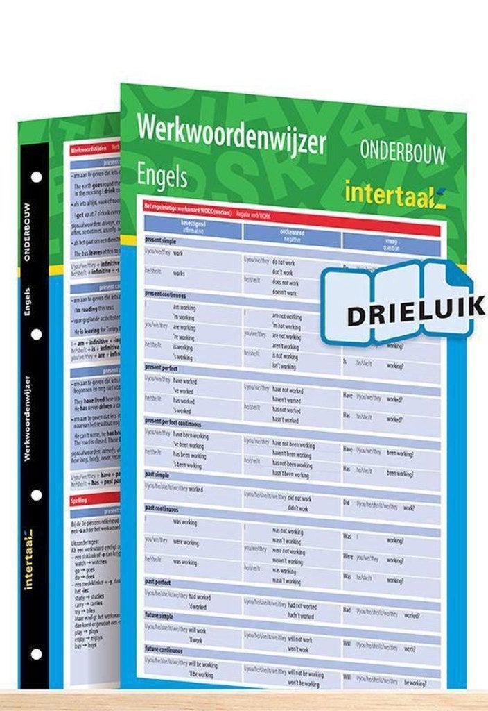 Grammatica-, Woordenschat- en Werkwoordenwijzer Engels, Engels, Diverse auteurs, Ophalen of Verzenden, Zo goed als nieuw