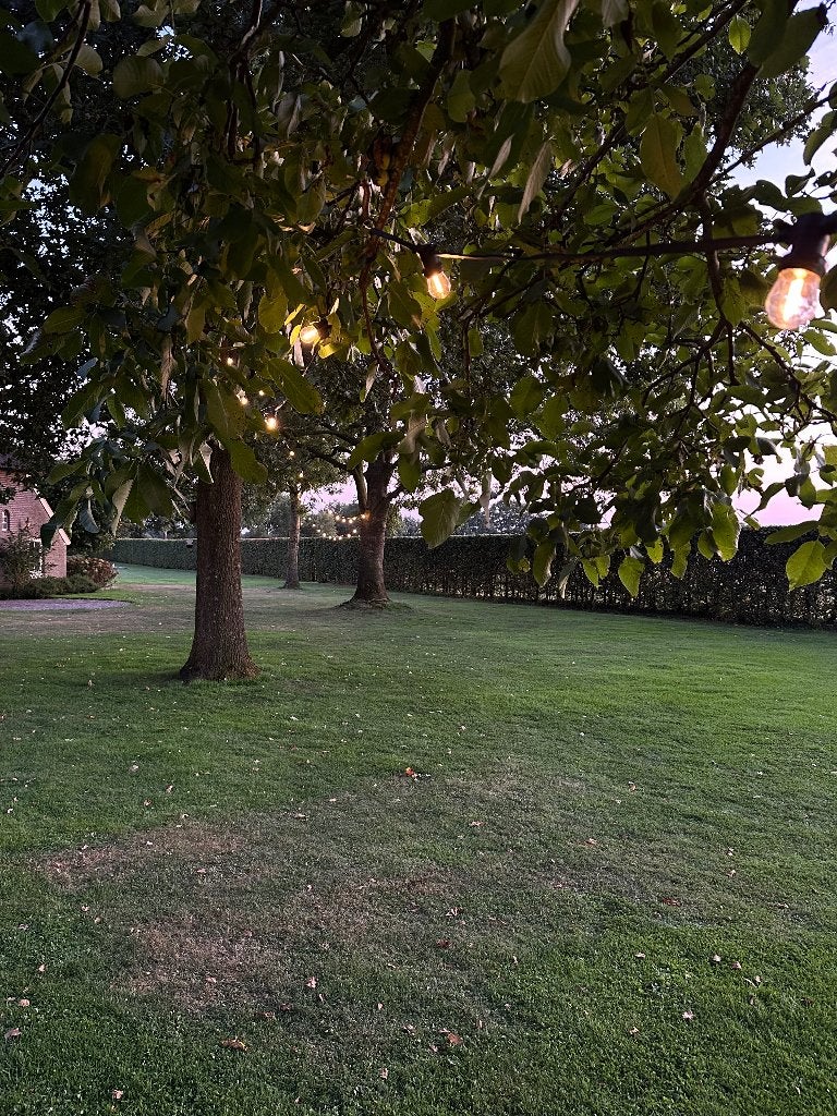 Prikkabel / Lichtsnoer Verhuur, Ophalen, Nieuw, Overige