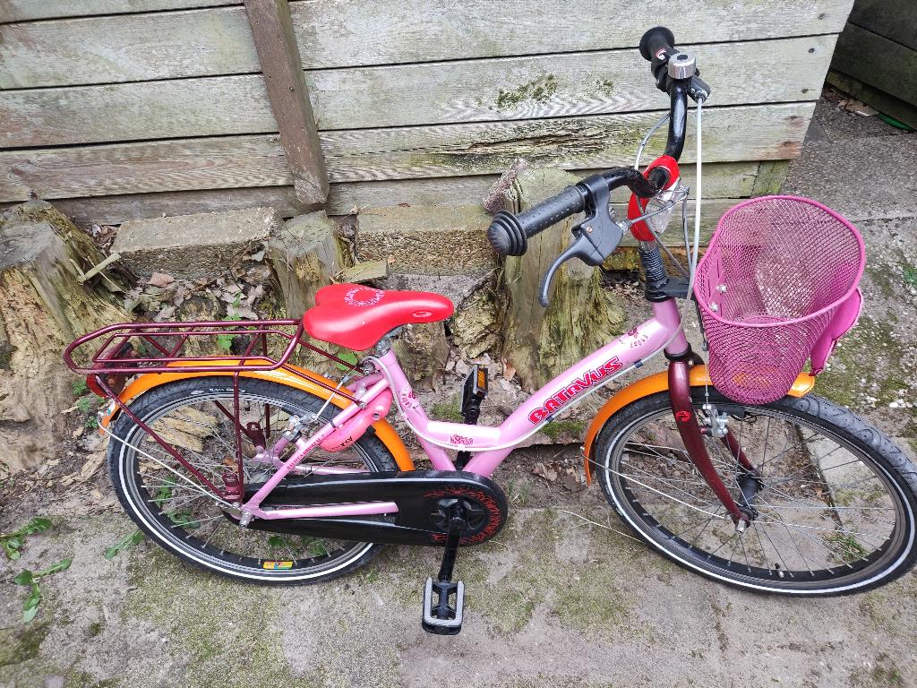 22 inch BATAVUS meisjes fiets, Ophalen, Gebruikt, 22 inch, Handrem
