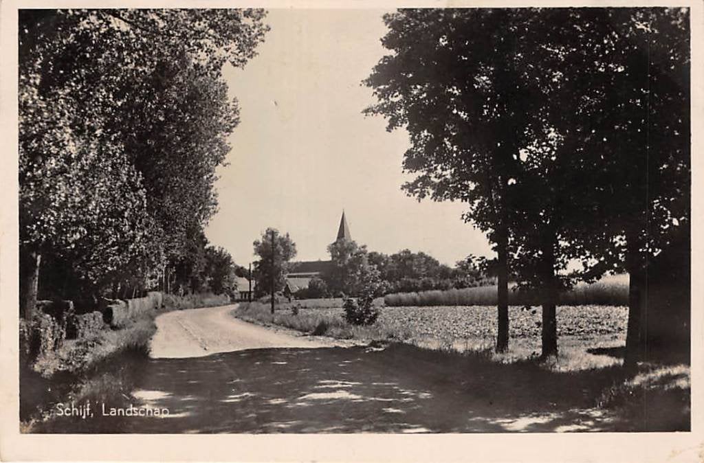 Schijf Landschap Rucphen Zundert Noord-Brabant 1951, Verzenden, 1940 tot 1960, Gelopen, Noord-Brabant