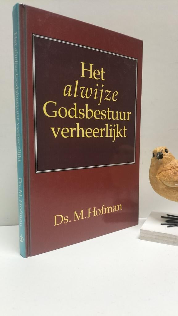 Hofman, Ds. M.; Het alwijze Godsbestuur verheerlijkt, Ophalen of Verzenden, Gelezen, Christendom | Protestants
