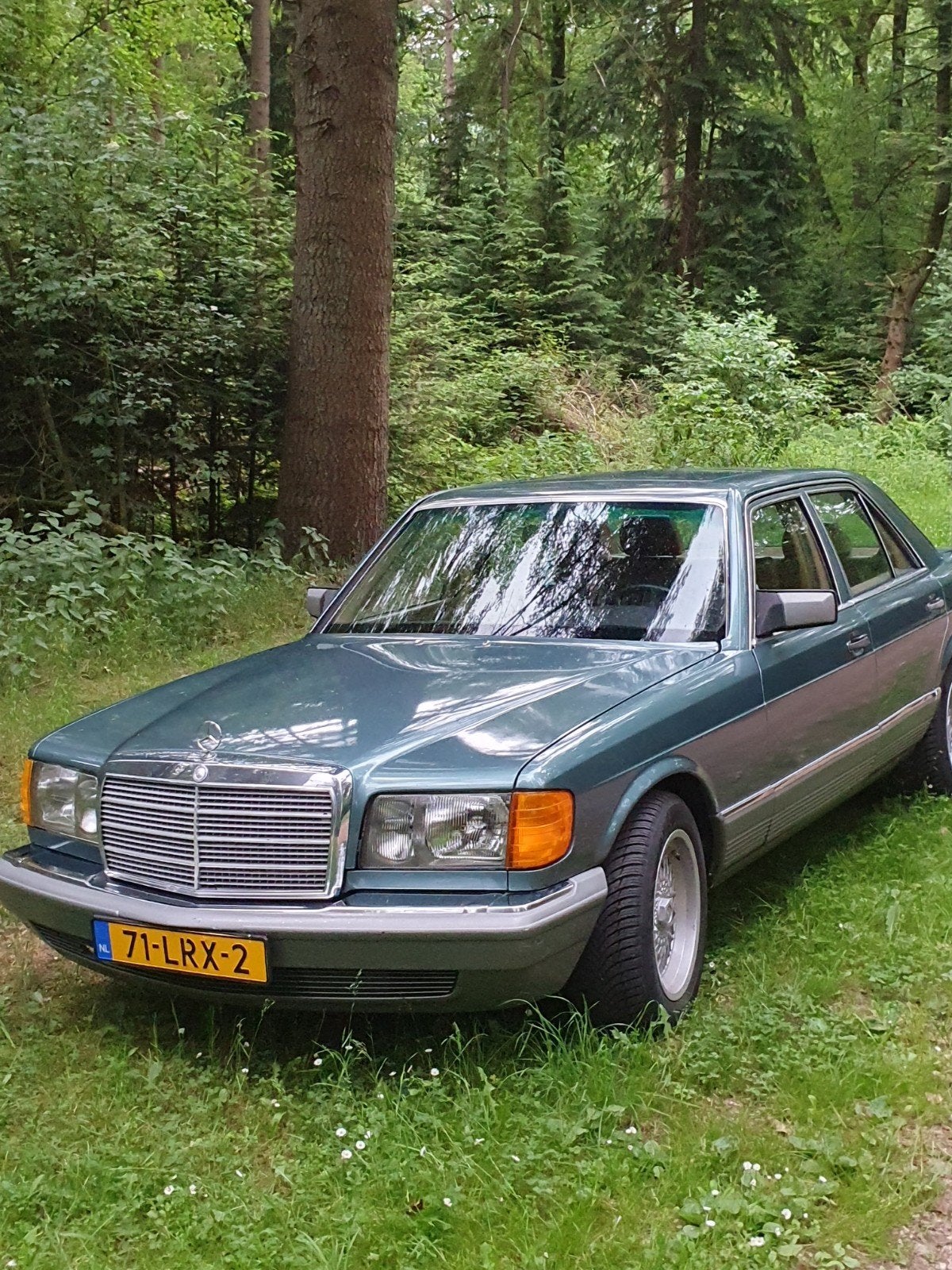 Mercedes-Benz Mercedes 300sd 1983 Groen roestvrij!!!, Ophalen of Verzenden, Mercedes-Benz, Motorkap