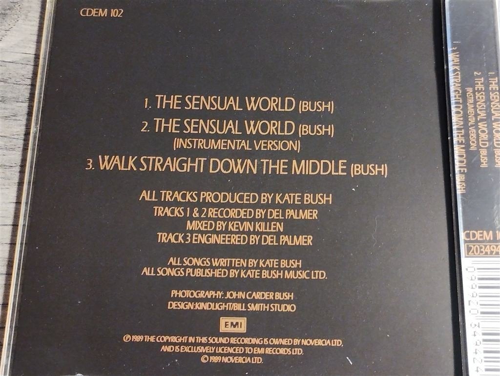 Kate Bush ‎- The Sensual World [CD Single], Cd's en Dvd's, Cd Singles, Ophalen of Verzenden, Zo goed als nieuw, Pop