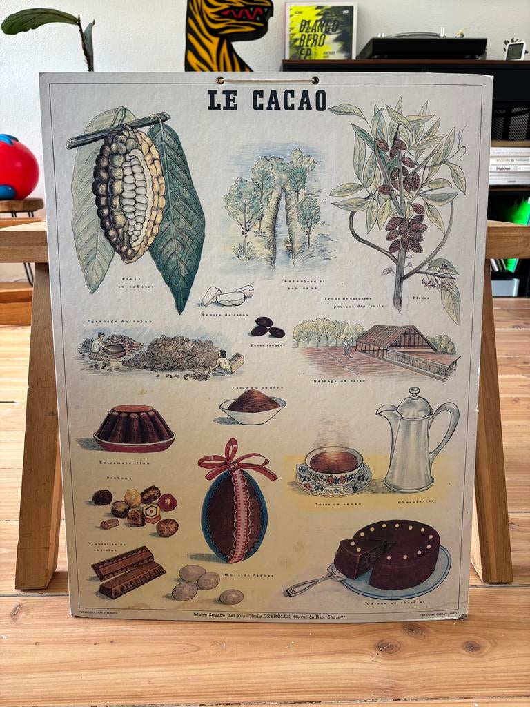 Le Cacao schoolplaat / poster, Antiek en Kunst, Antiek | Schoolplaten, Ophalen of Verzenden, Natuur en Biologie