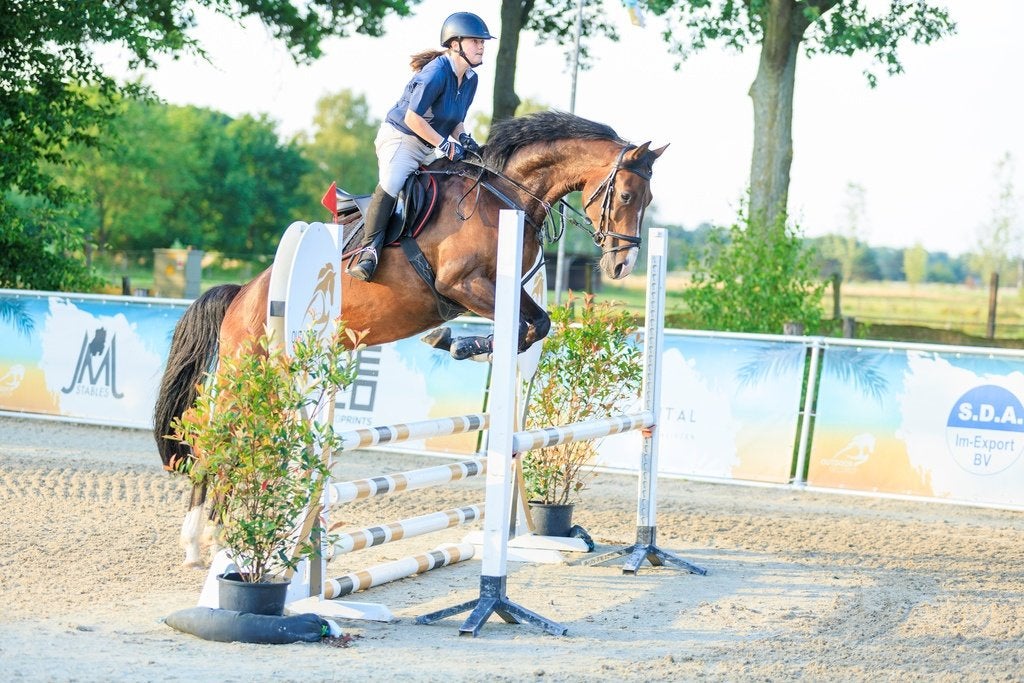 10 jarige springmerrie te koop, Dieren en Toebehoren, Merrie, Springpaard, 7 tot 10 jaar, 165 tot 170 cm