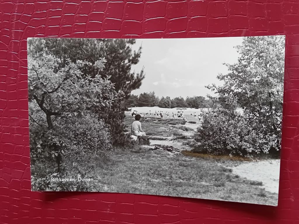 Ansichtkaart Bakkeveen, Ophalen of Verzenden