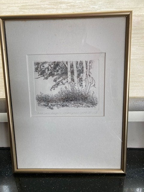 Ets  van Han van Hagen, Ophalen of Verzenden, Minder dan 50 cm, Overige typen