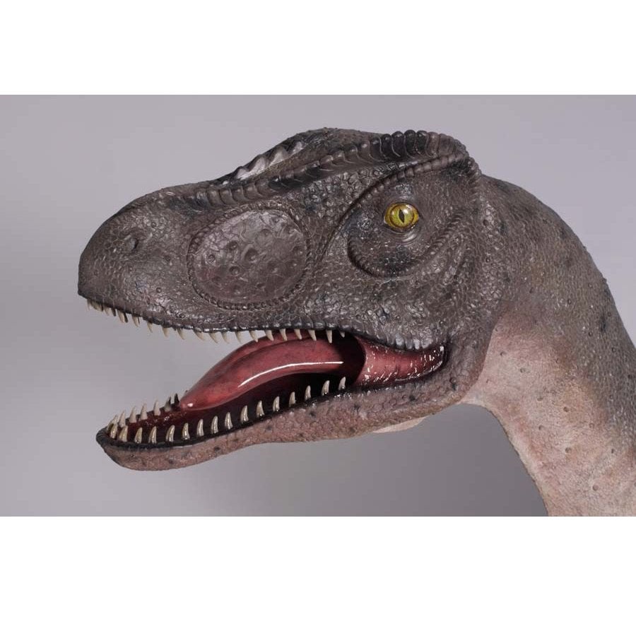 Allosaurus-Mouth Open – Dinosaurus beeld Breedte 319 cm, Ophalen, Nieuw, Overige typen