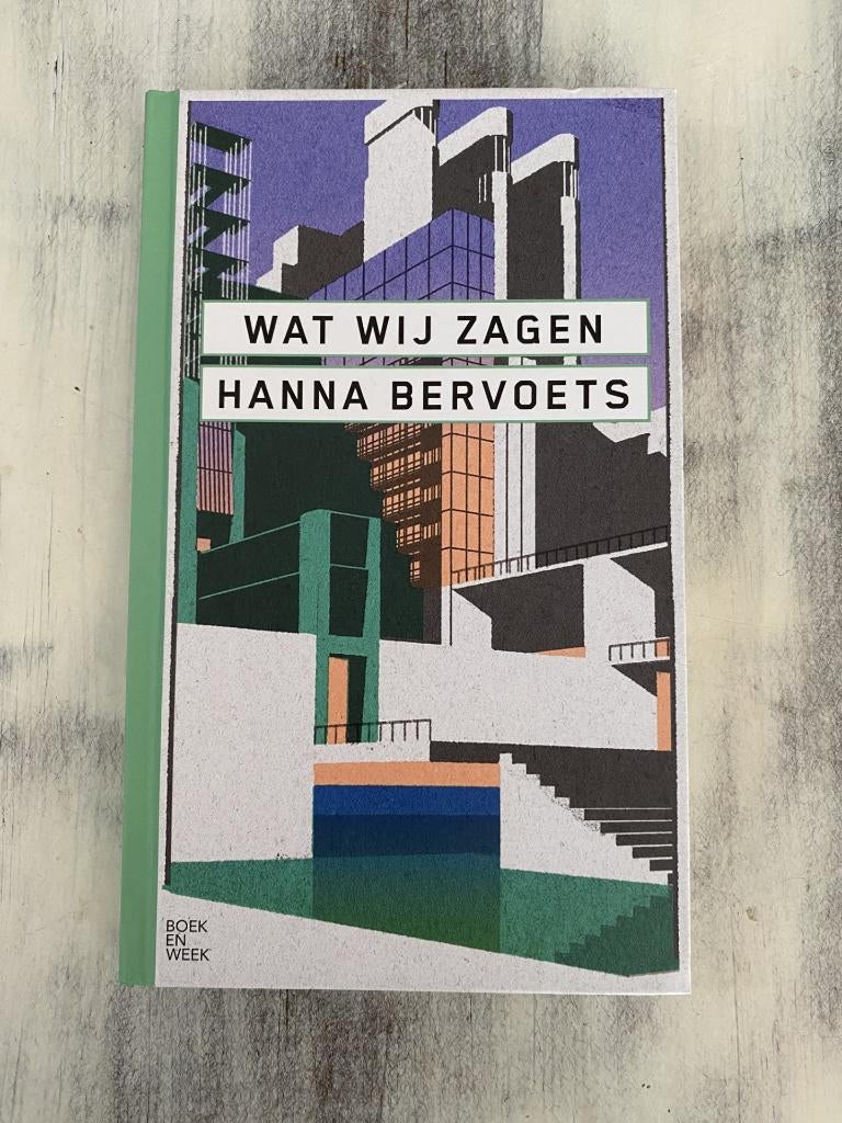 Wat wij zagen, Boeken, Ophalen of Verzenden, Zo goed als nieuw