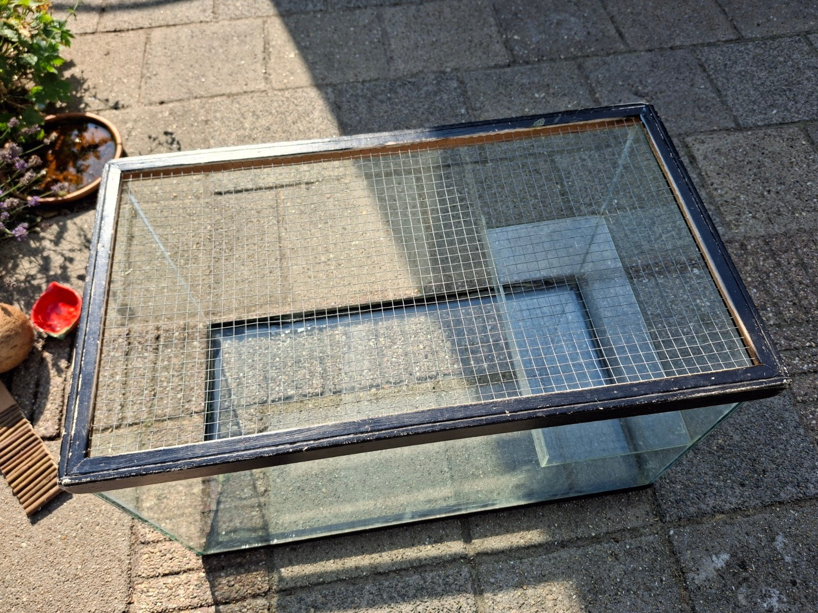 Knaagdieren verblijf, Gebruikt, Minder dan 75 cm, Muis, Hok