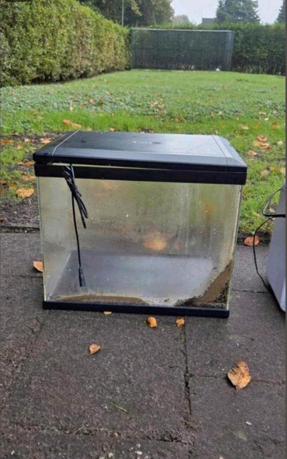 Keurig kleiner aquarium - bak met deksel ledverlichting etc, Ophalen, Inclusief deksel, Overige merken, Zo goed als nieuw