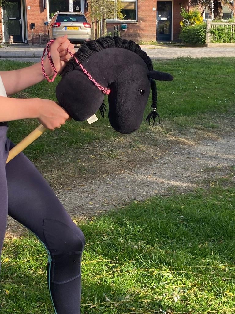 Nekrope Hobby Horse - Handgemaakt door fans, Ophalen of Verzenden, Nieuw, Jongen of Meisje