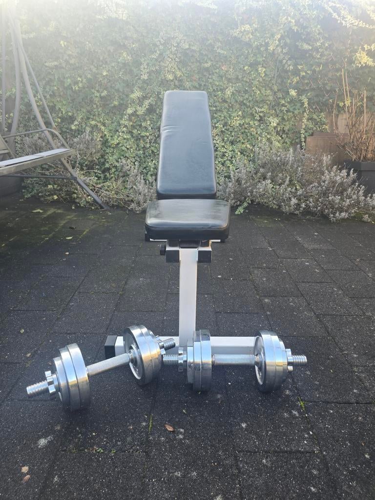 Verstelbare fitnessbank met dumbbells (chroom), Ophalen, Gebruikt, Rug, Dumbbell