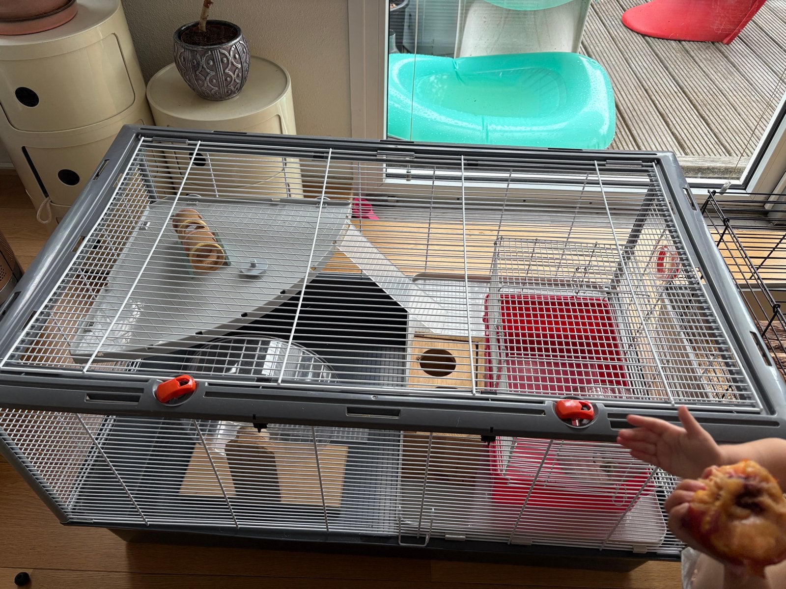 Ferplast small animal cage complete setup with travel cage, Dieren en Toebehoren, Ophalen, Kooi, 110 cm of meer, 60 tot 90 cm