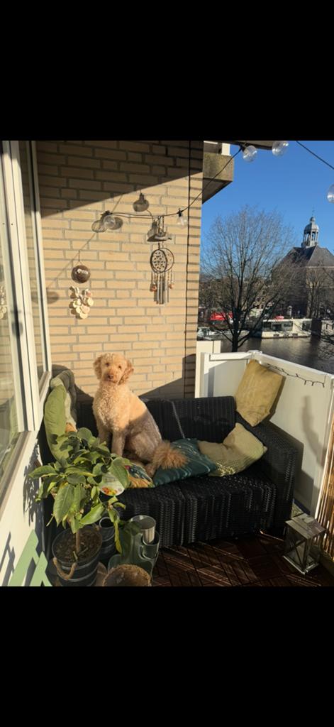 Balkonbank (donker antraciete) 140x60, Overige materialen, Zo goed als nieuw, Bank, Ophalen