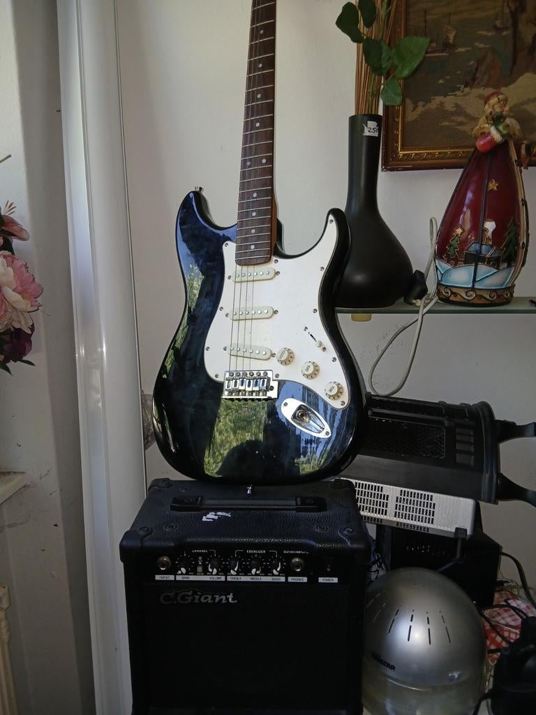 Elektrische gitaar met twee snaren en versterker, Overige merken, Gebruikt, Met versterker, Ophalen of Verzenden