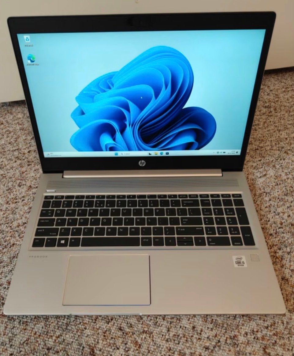 HP ProBook 450 G7 i5-10210U | 8GB RAM | 1TB | Win 11 Pro, Computers en Software, Gebruikt, HDD, 2 tot 3 Ghz, 8 GB