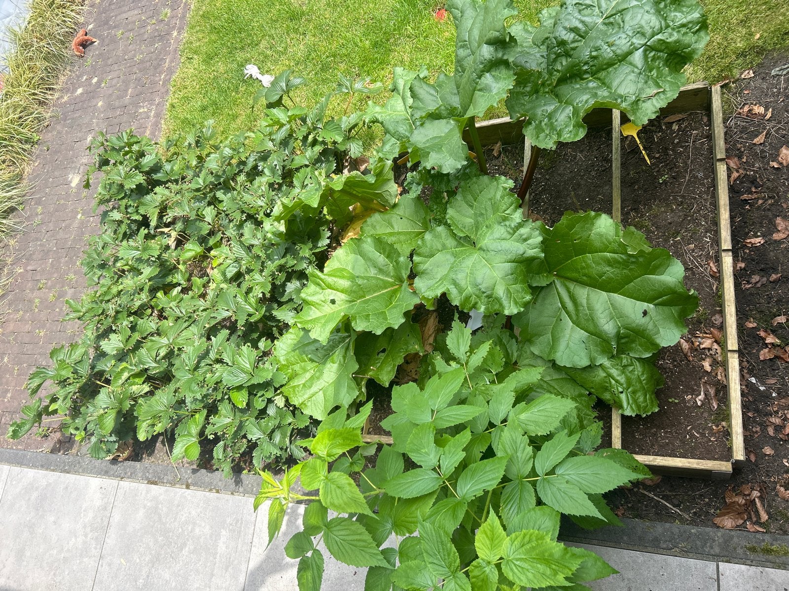2 moestuinbakken gratis af te halen, Ophalen, Gebruikt, Minder dan 30 cm, 100 cm of meer