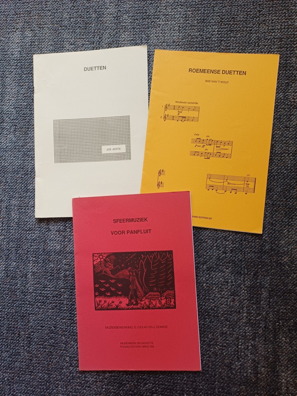 Muziekboeken voor panfluit, igst, Ophalen of Verzenden