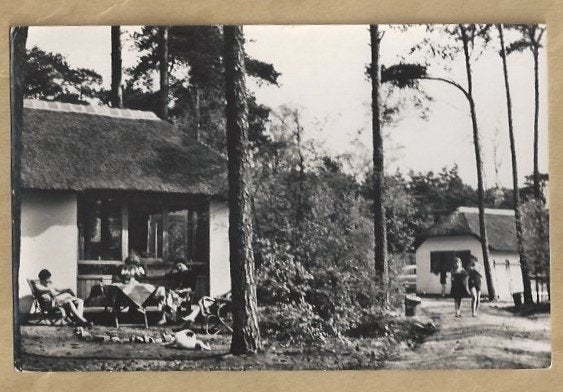 Oude ansichtkaart Recreatiecentrum Het Grote Bos Doorn, Ophalen of Verzenden, 1940 tot 1960, Gelopen, Utrecht