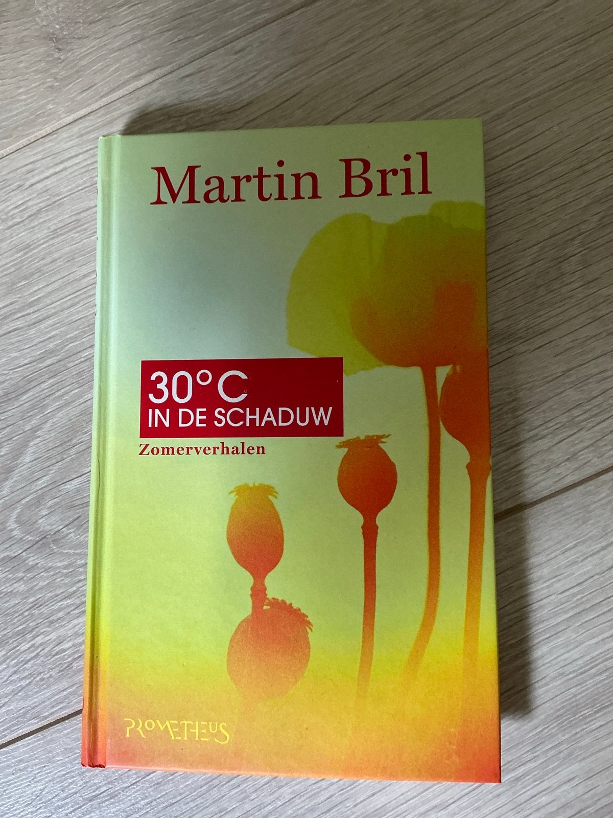 Martin Bril - 30C in de schaduw: Zomerverhalen, Boeken, Ophalen of Verzenden, Nieuw, Nederland