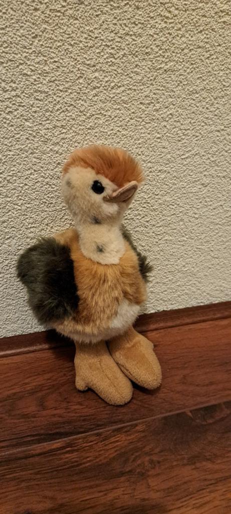 Struisvogel knuffel van 23 cm groot., Ophalen of Verzenden, Zo goed als nieuw, Overige typen