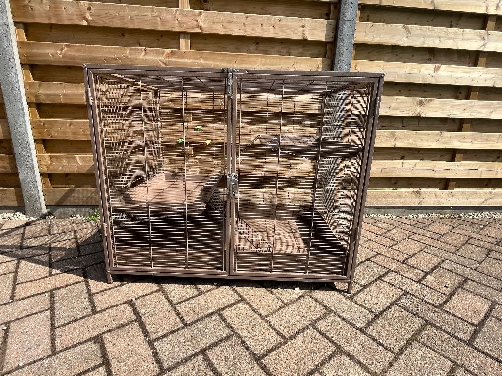 Knaagdieren/ rattenkooi met veel toebehoren, Dieren en Toebehoren, Ophalen, Gebruikt, 90 cm of meer, Rat