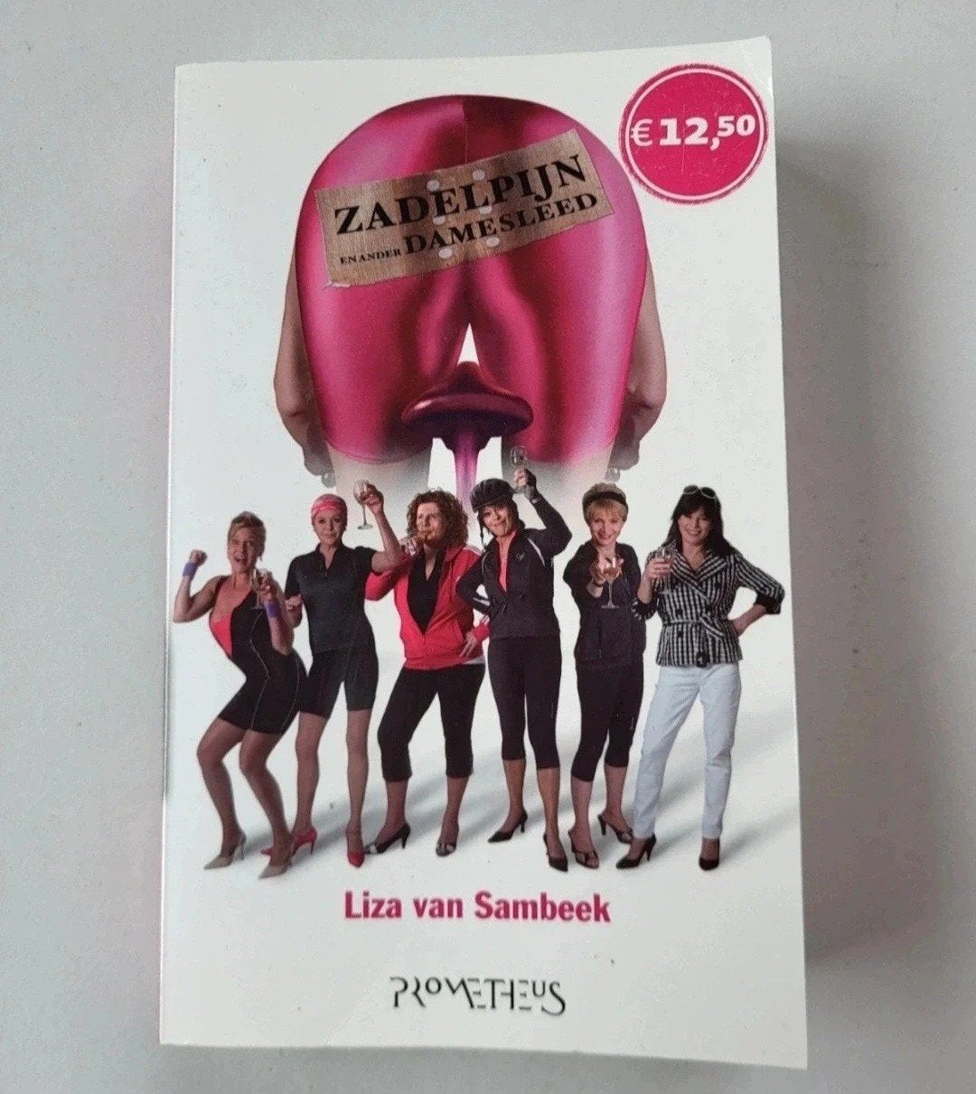Zadelpijn en ander damesleed - Liza van Sambeek, Boeken, Ophalen of Verzenden, Zo goed als nieuw