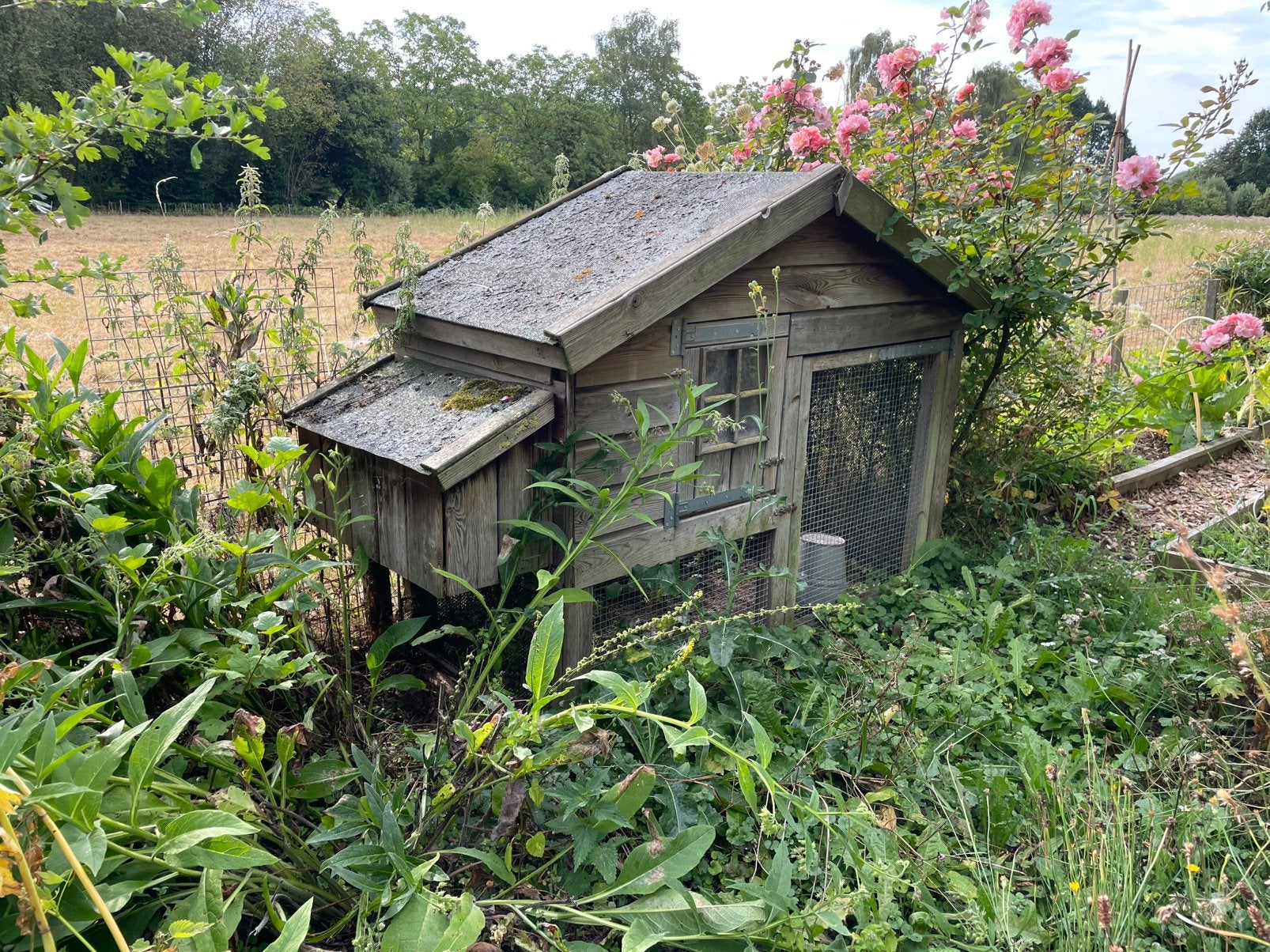 Kippenhok, Tuin en Terras, Tuinhuizen, Gebruikt, Schuur, Met overkapping, Hout