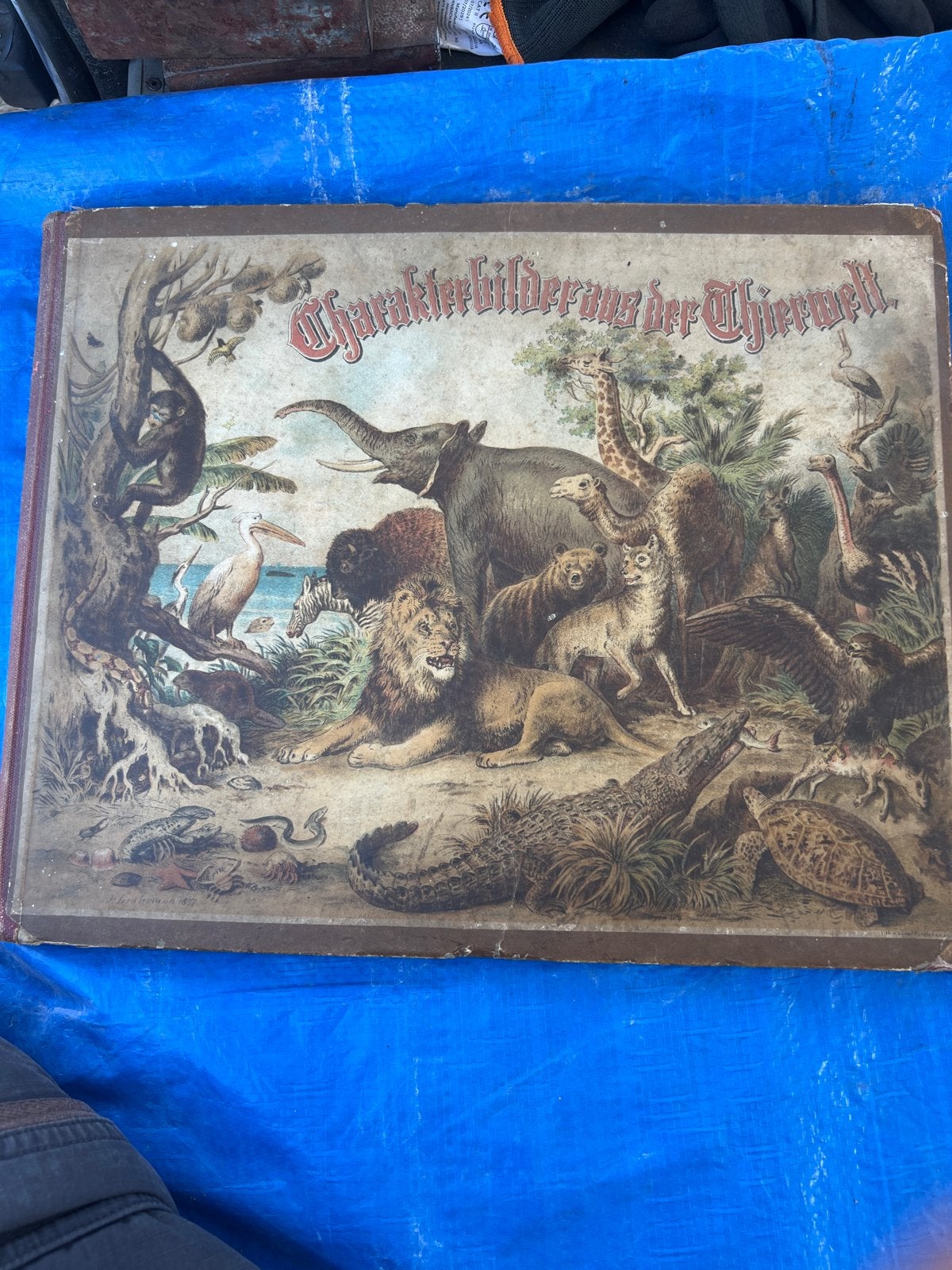Antiek boek: Charakterbilderung der Thierwelt, Ophalen of Verzenden, Gelezen, Natuur algemeen
