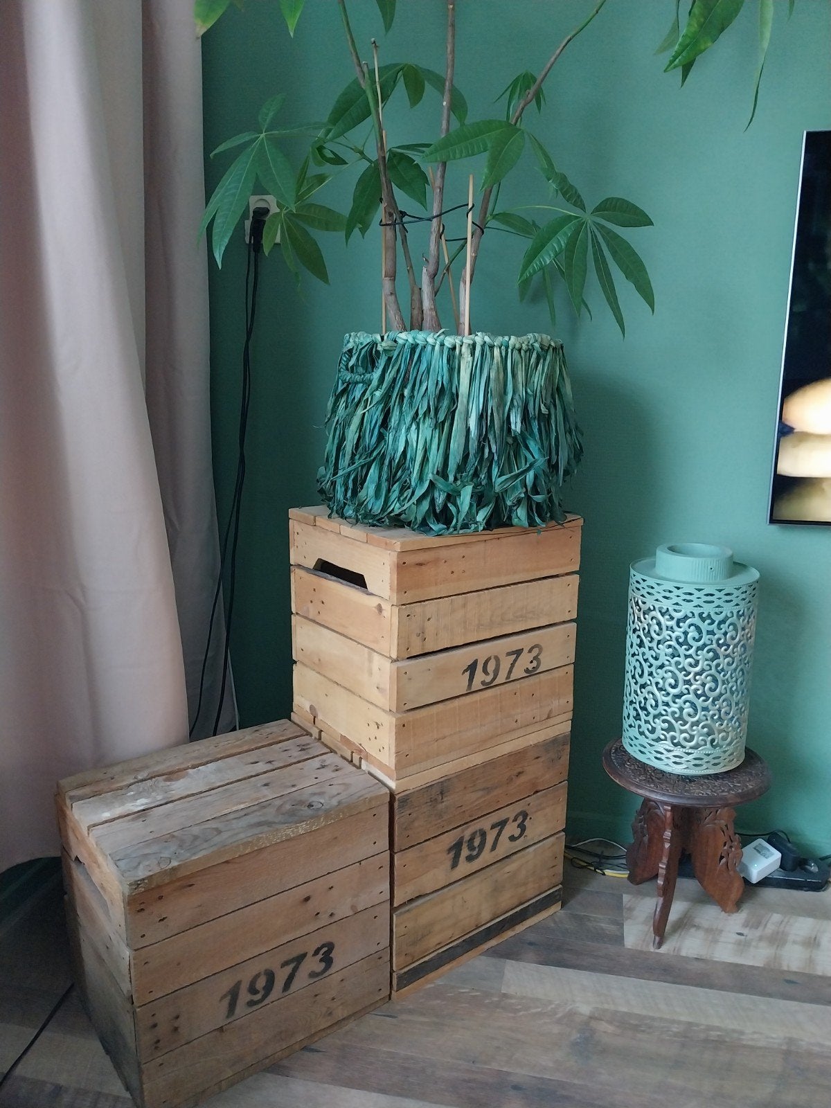 Houten kisten, Ophalen, Zo goed als nieuw, Overige houtsoorten, Minder dan 50 cm