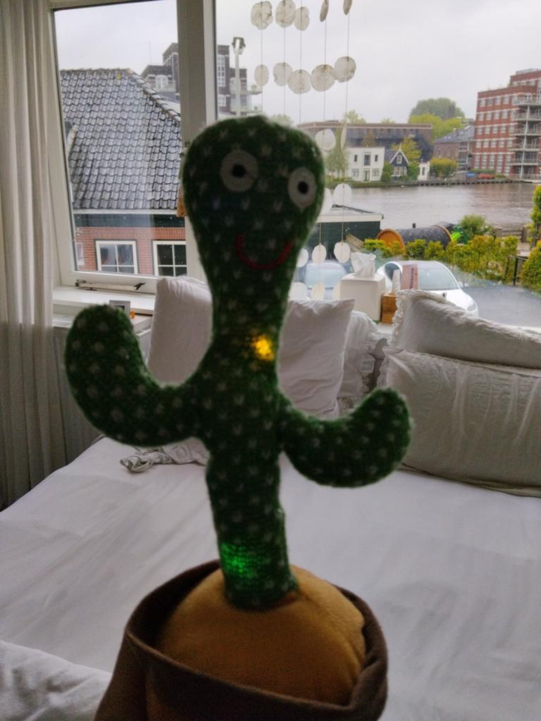 Meepratende cactus, Ophalen of Verzenden, Zo goed als nieuw, Jongen of Meisje