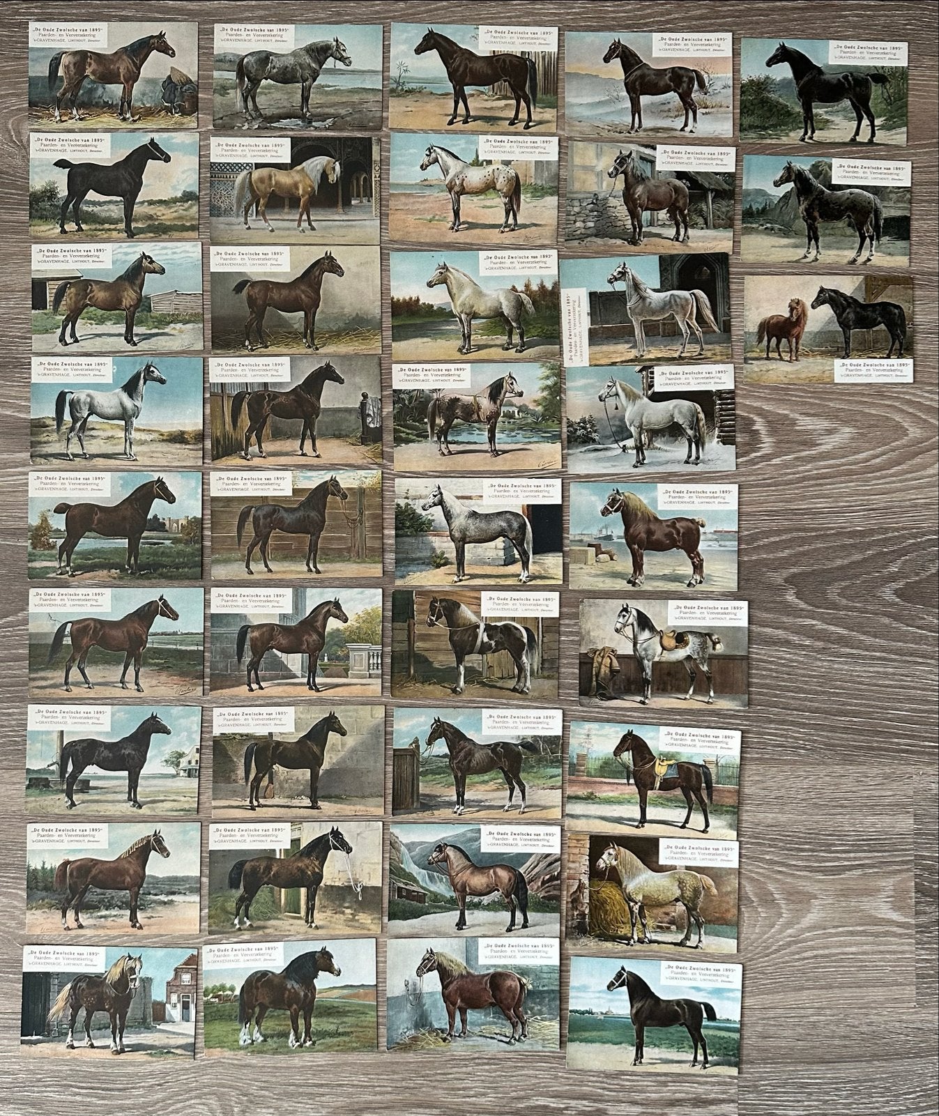 Oude Zwolsche van 1895 Paarden- en Veeverzekering, Ophalen of Verzenden, Voor 1920, Gelopen, Overige thema's