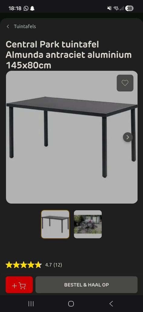 Tuin tafel van Praxis, Ophalen of Verzenden, Metaal, Overige typen
