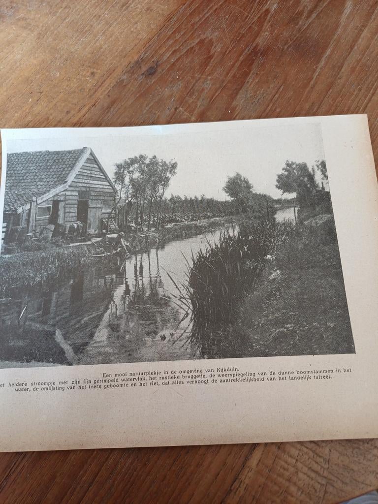 Knipsel natuur omgeving Kijkduin 1923, Ophalen of Verzenden, 1920 tot 1940, Knipsel(s)