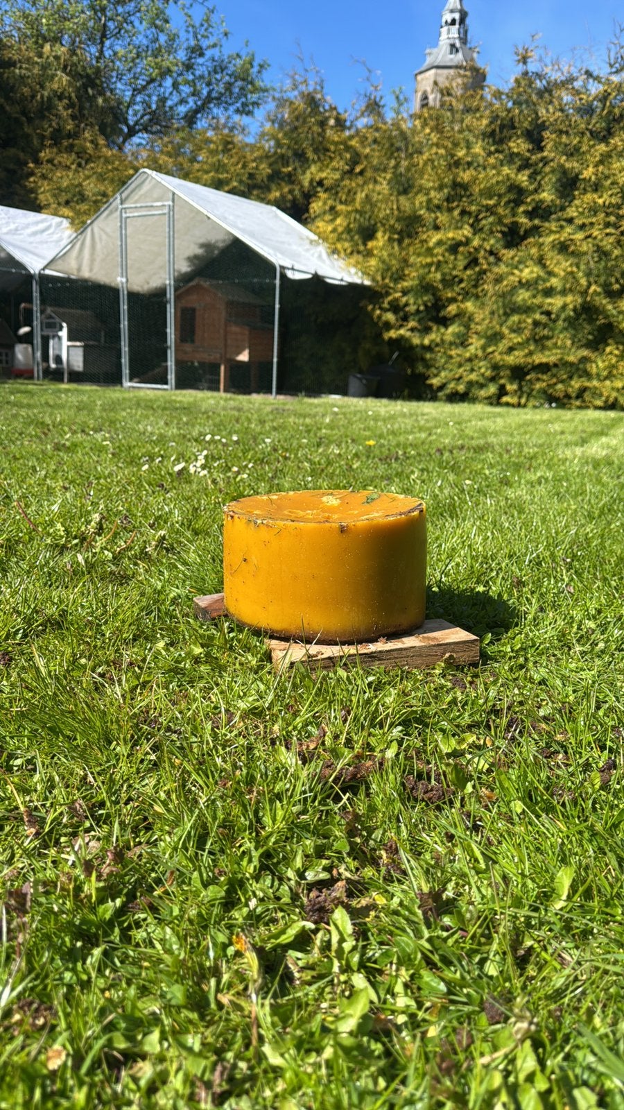 bijenwas 15 kilo oktober 2026, Minder dan 30 cm, Rond, Ophalen of Verzenden, Zo goed als nieuw