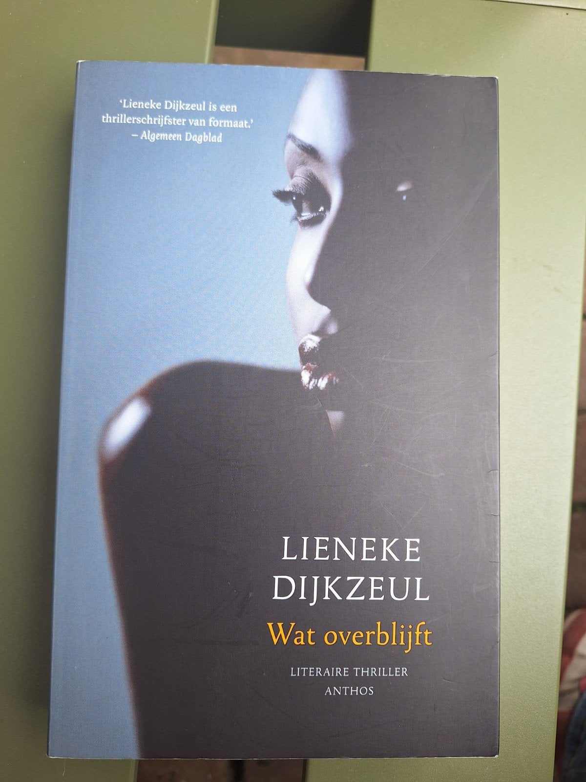 Lieneke Dijkzeul - Wat overblijft (Literaire thriller), Ophalen of Verzenden, Gelezen, Lieneke Dijkzeul, Nederland