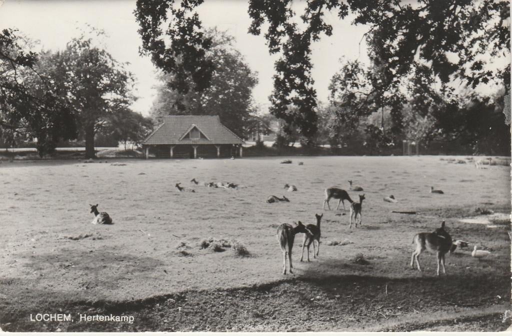 LOCHEM Hertenkamp, Verzenden, 1960 tot 1980, Gelopen, Gelderland