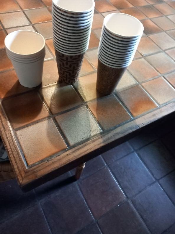 weggooi / disposable, take dis, bestek en bakjes, Ophalen of Verzenden, Nieuw