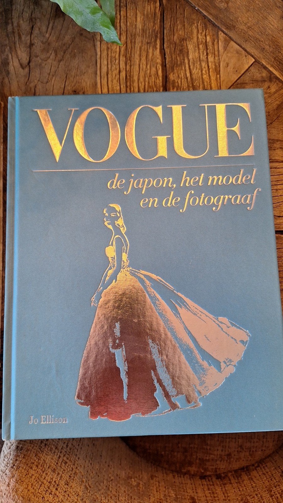 Vogue: De japon, het model en de fotograaf - Jo Ellison, Ophalen of Verzenden, Zo goed als nieuw, Fotografie algemeen, Jo Ellison