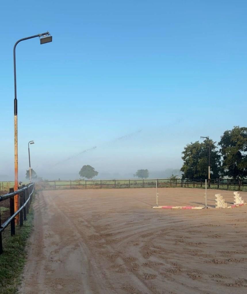 Pensionstalling aangeboden, Dieren en Toebehoren, Stalling en Weidegang, Weidegang, 1 paard of pony