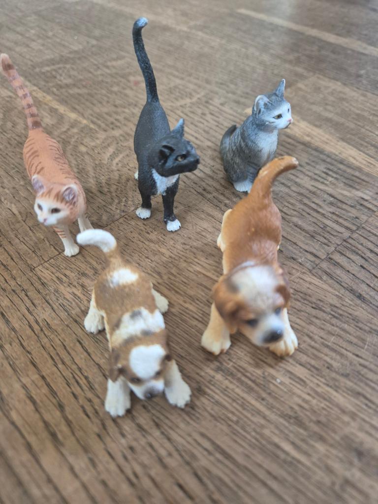 Schleich Honden en Katten Figuren Set, Verzamelen, Dierenverzamelingen, Ophalen of Verzenden, Zo goed als nieuw, Hond of Kat, Beeldje of Figuurtje