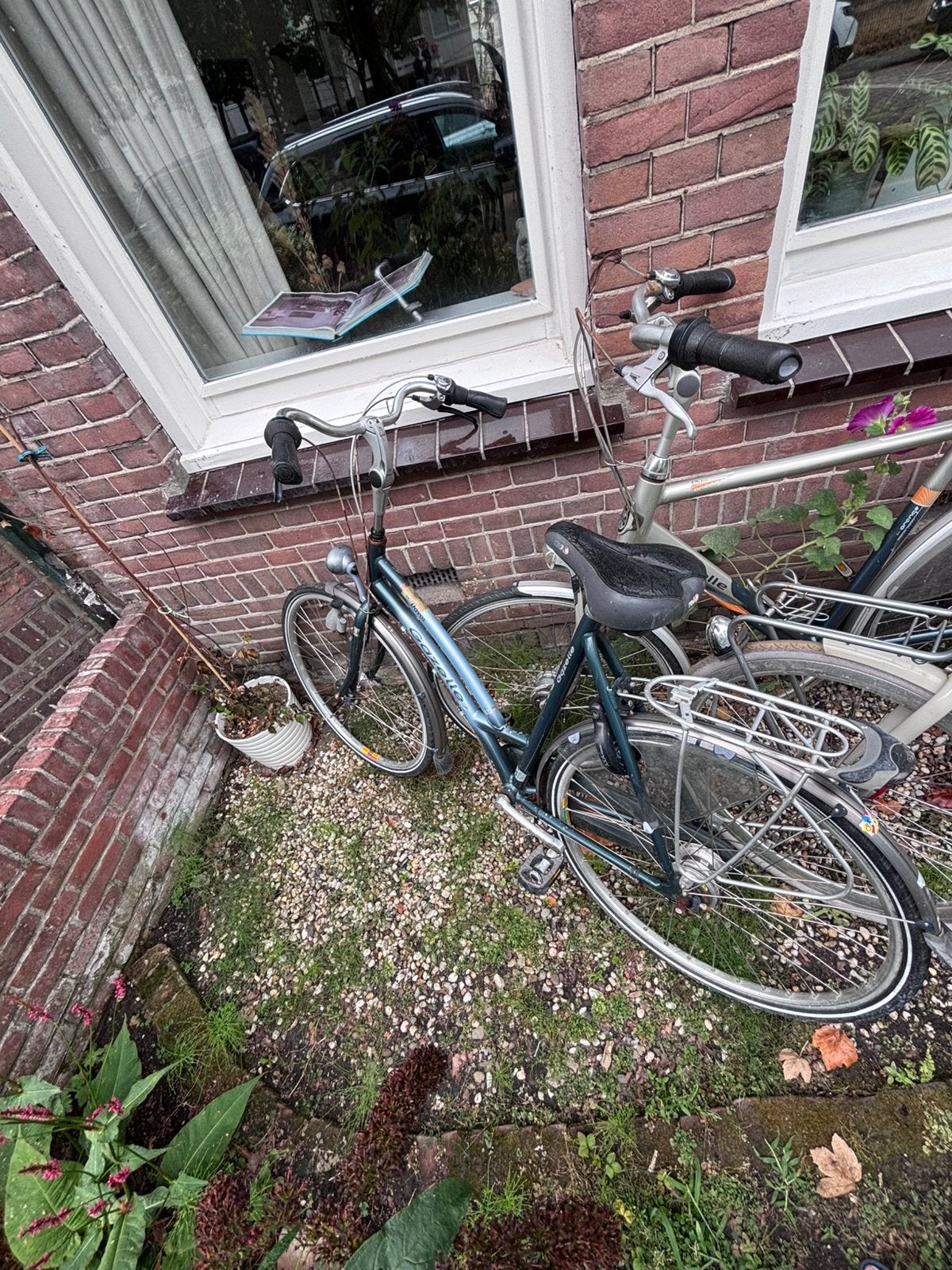 Gazelle damesfiets, Ophalen, Gebruikt, Gazelle