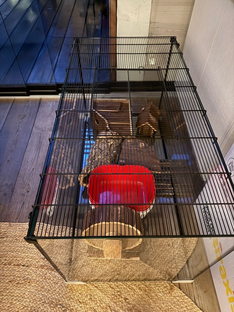 Ruime hamsterkooi 100 x 50 cm – compleet met veel extra’s, Kooi, Gebruikt, Hamster, 75 tot 110 cm