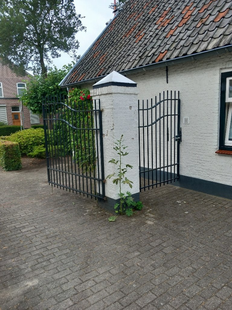 poorten hekwerk, Tuin en Terras, Tuinhekken en Hekwerk, Ophalen, Met poort, Gebruikt, Sierhekwerk