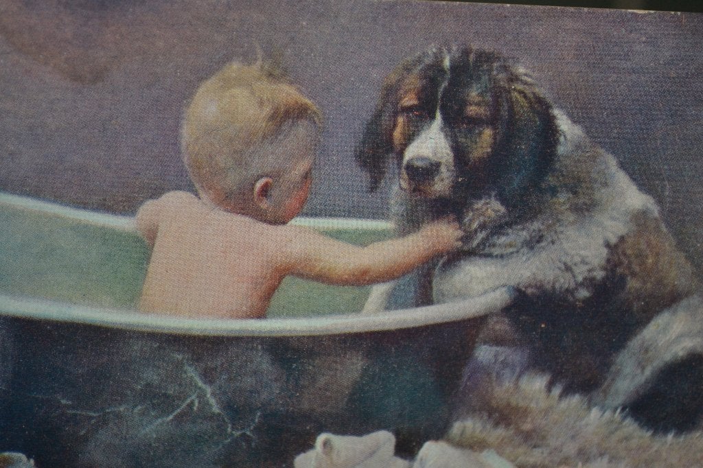 duitsland 1910 baby in bad met hond sint bernard, Ophalen of Verzenden, Voor 1920, Ongelopen, Sterren en Beroemdheden