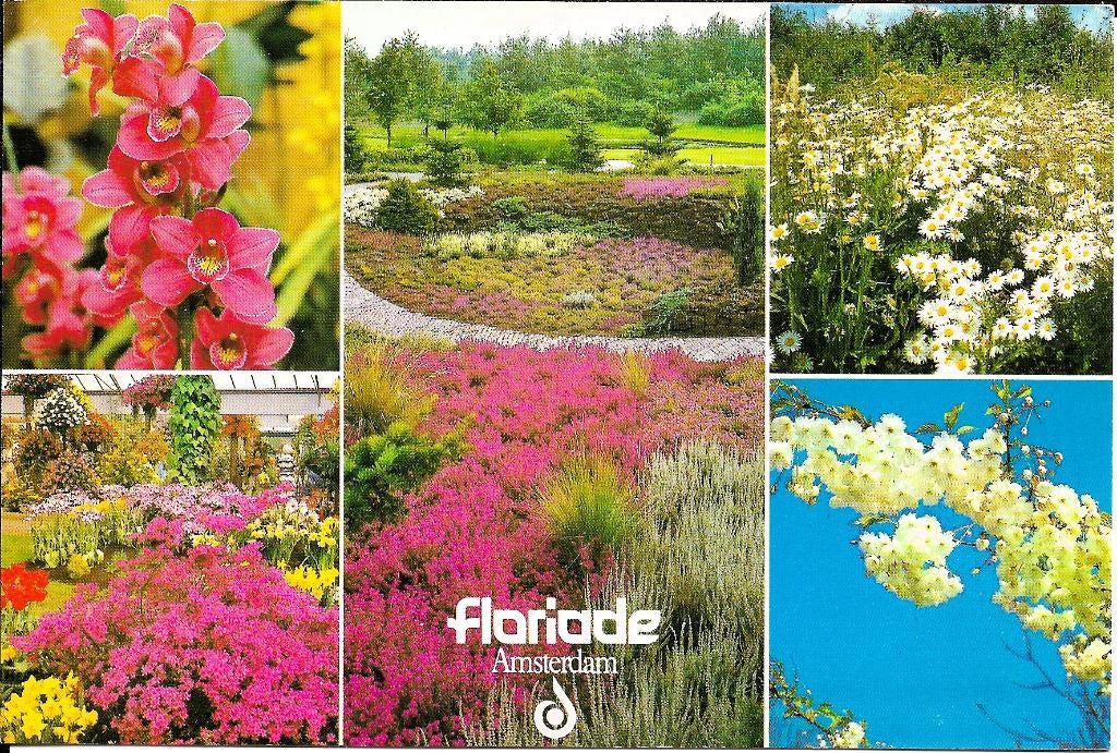 Ansichtkaart	Amsterdam	Floriade	5-luik, Verzenden, 1980 tot heden, Gelopen, Noord-Holland